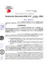 Vista preliminar de documento Resolucion Directoral N° 003558-2023.