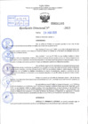 Vista preliminar de documento R.D 01195-2023