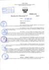 Vista preliminar de documento R.D 01196-2023