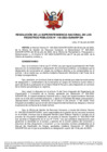 Vista preliminar de documento Resolución de la Superintendencia Nacional de los Registros Públicos N.°118-2023-SUNARP/SN