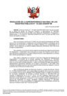 Vista preliminar de documento Resolución de la Superintendencia Nacional de los Registros Públicos N.°118-2023-SUNARP/SN
