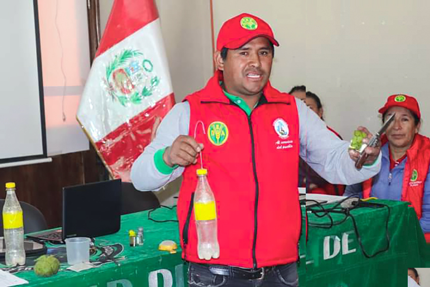 Más de 1800 productores frutícolas de Huanta fueron capacitados para controlar la mosca de la fruta