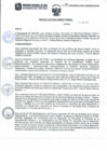 Vista preliminar de documento Resolución Directoralctmpy
