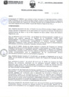 Vista preliminar de documento Resolución DirectoraleP3tq
