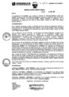 Vista preliminar de documento Resolución Directoral 133-2022-DIRESA-L-RS-CY-DE-OSAI-AO-OPPtjISX