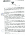 Vista preliminar de documento Resolución Directoral 319-2022 DIRESA-L-RS CY-DE-OAA1KTB