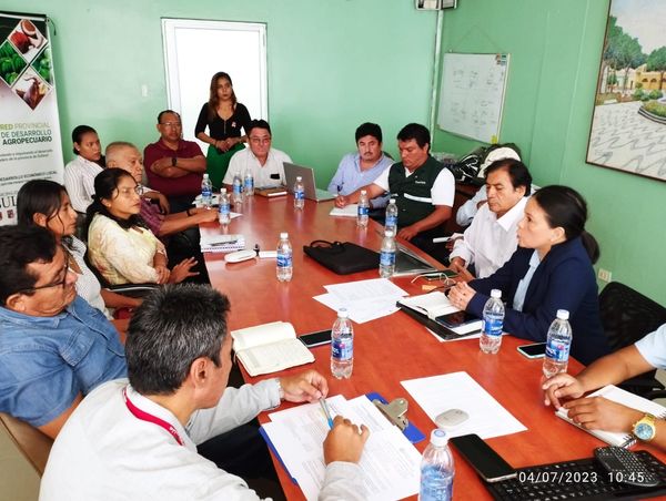 Plantean Mejorar Intervención Del Valle Del Chira Respecto Al Cultivo Del Banano Orgánico