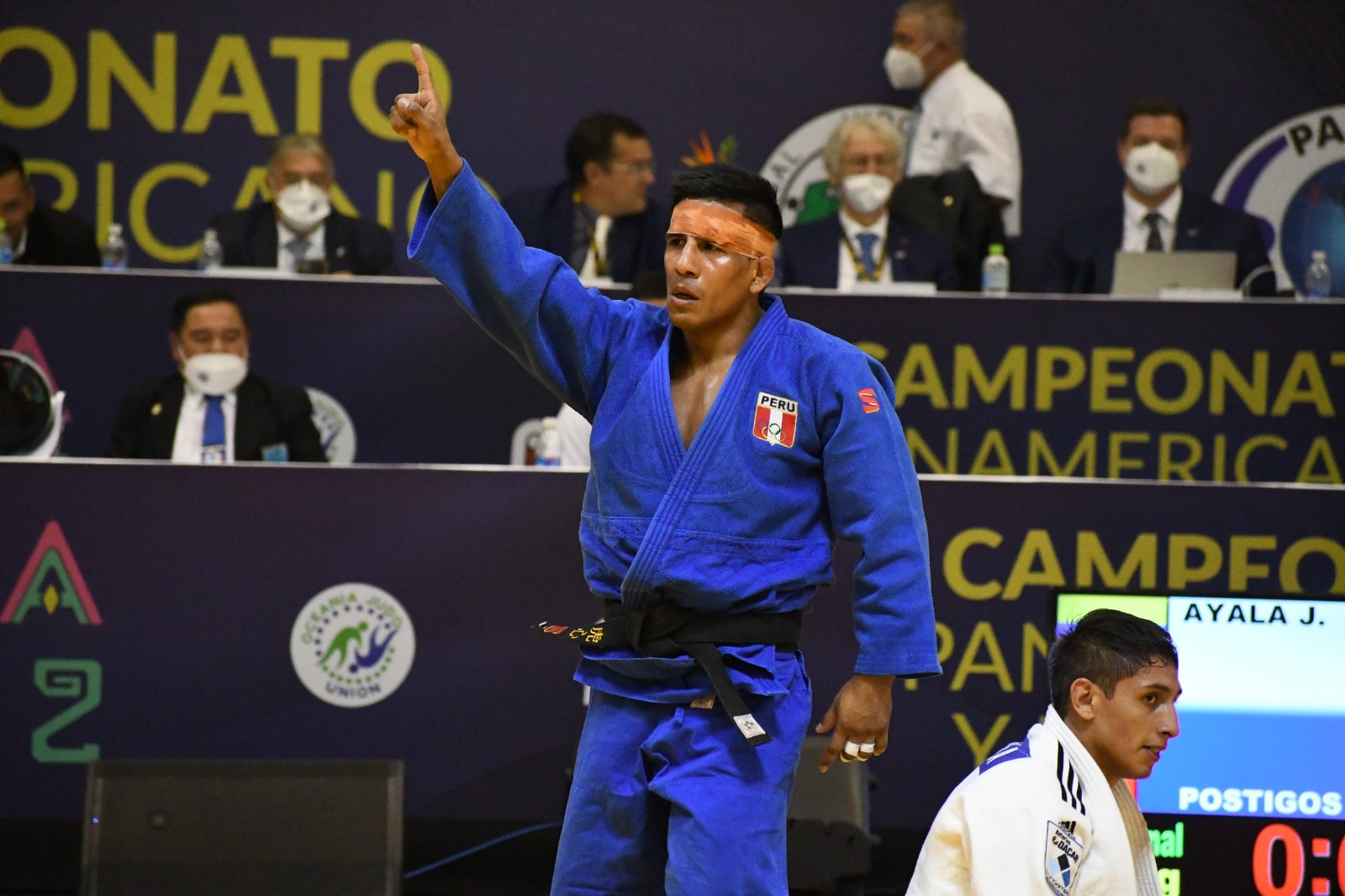 judo