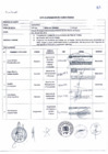 Vista preliminar de documento Acta