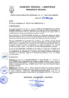 Vista preliminar de documento Resolución Ejecutiva RegionalAWbra