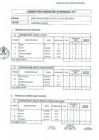 Vista preliminar de documento Cuadro de Asignación de Personal de la Municipalidad de San Juan de Lurigancho