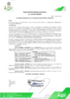 Vista preliminar de documento 1. Comite de Selección