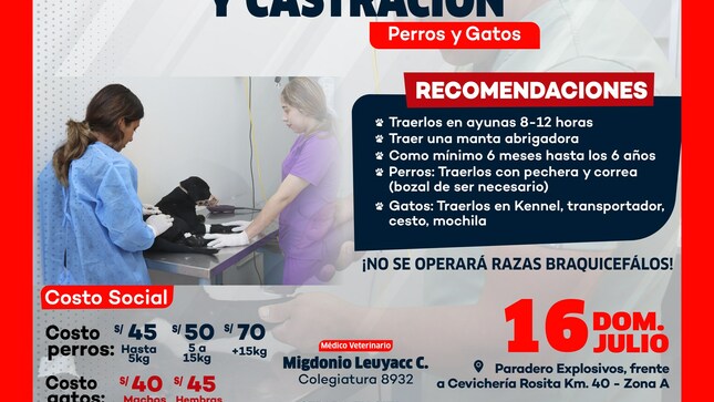Archivo de JPG sobre una publicación del área de imagen
