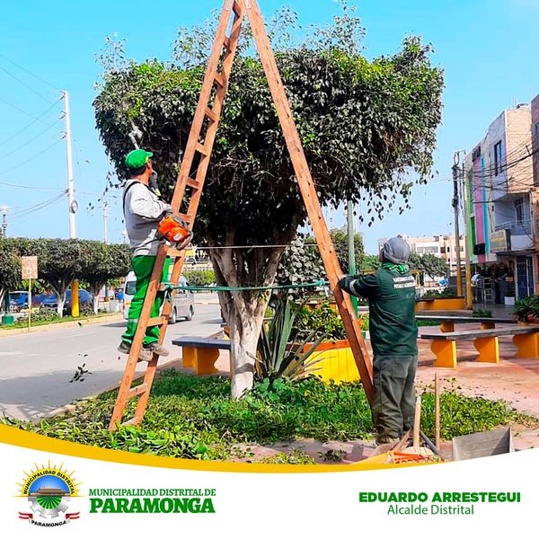 Imagen1