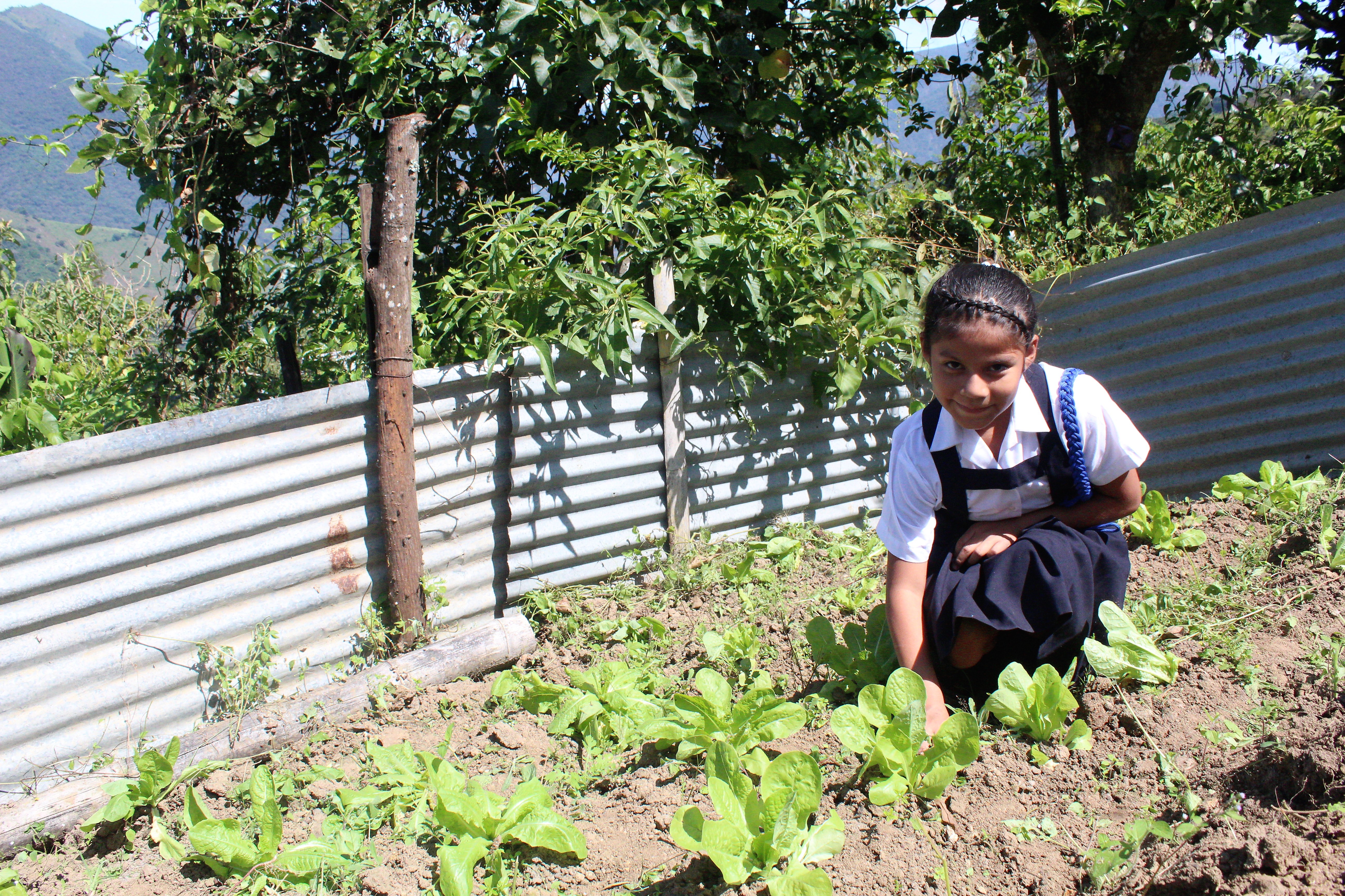 Servicio alimentario escolar