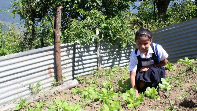 Servicio alimentario escolar