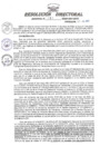 Vista preliminar de documento RESOLUCION DIRECTORAL REGIONAL N° 161-2023-GRU-DRTC
