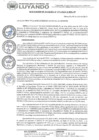 Vista preliminar de documento RESOLUCION 171