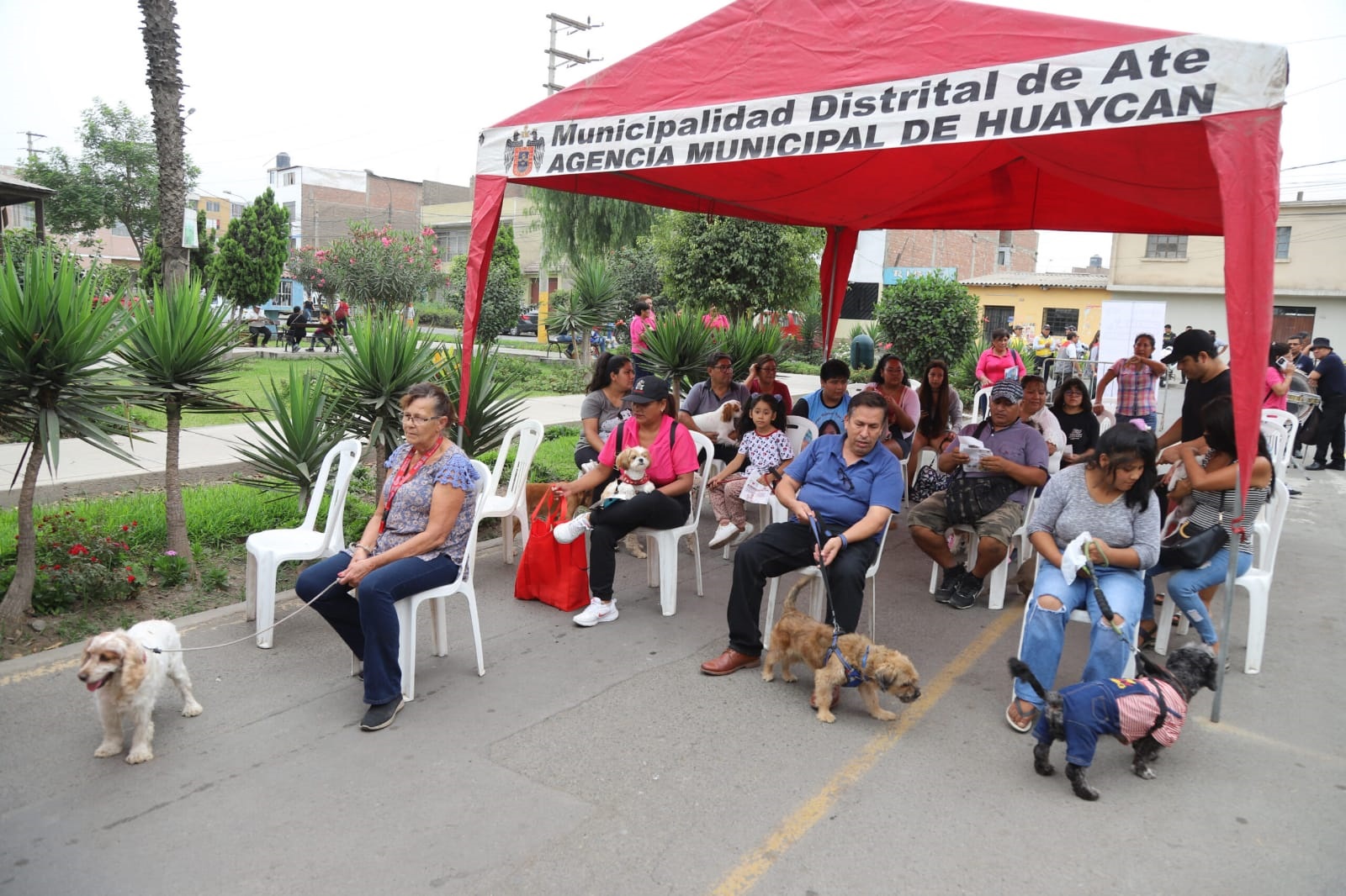 Los servicios son gratuitos
