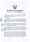 Vista preliminar de documento RDR-2993-2019-DRELMLCrcT
