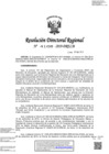 Vista preliminar de documento RDR-4108-2019-DRELMpqJNx