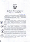 Vista preliminar de documento RDR-3690-2019-DRELM7mxSn