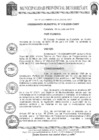Vista preliminar de documento Ordenanza MunicipalBUenl