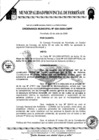 Vista preliminar de documento Ordenanza MunicipalBJA01