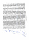 Vista preliminar de documento relacion