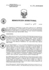 Vista preliminar de documento RD 102-2023-SA-DG-INR