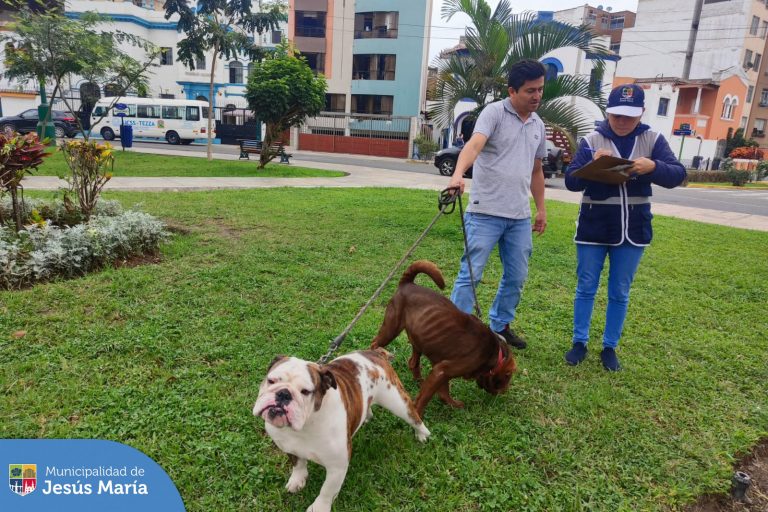 Campañas Veterinarias Gratuitas 🆓 cada 2 semanas de manera descentralizada, en diferentes puntos del distrito.