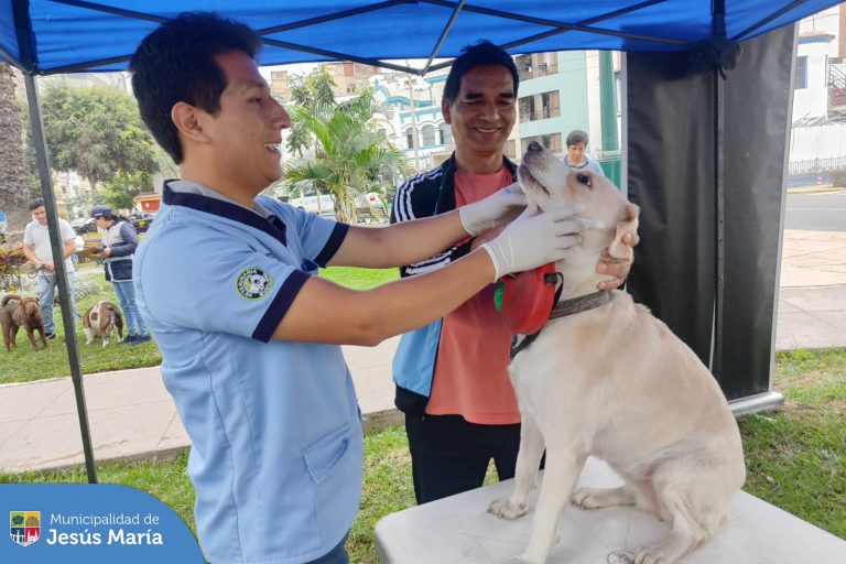 Campañas Veterinarias Gratuitas 🆓 cada 2 semanas de manera descentralizada, en diferentes puntos del distrito.