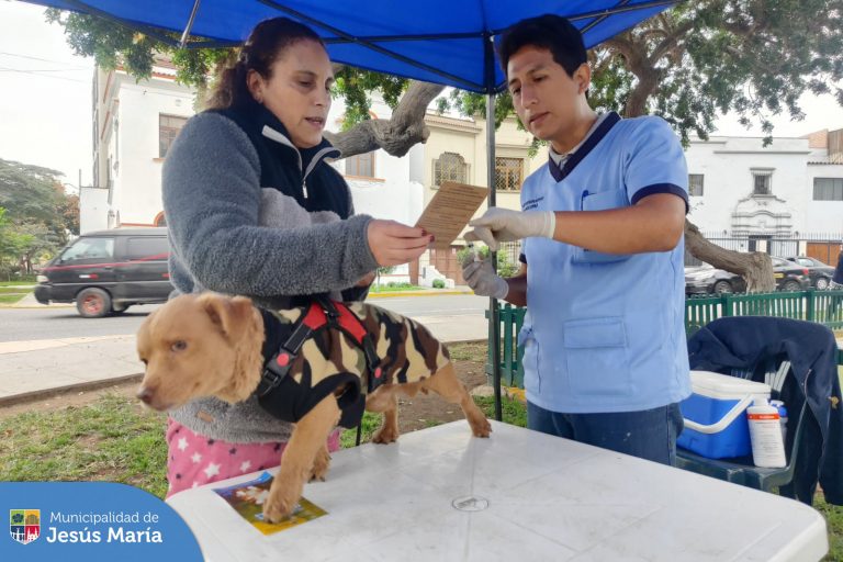 Campañas Veterinarias Gratuitas 🆓 cada 2 semanas de manera descentralizada, en diferentes puntos del distrito.