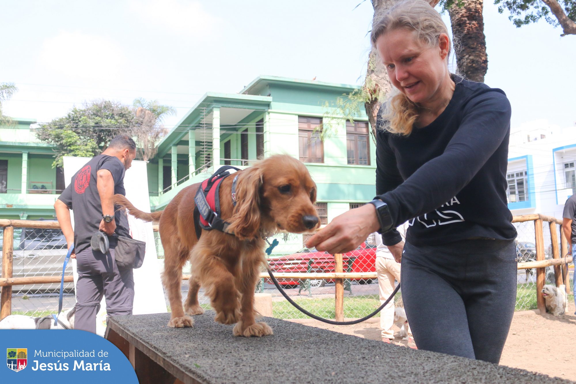 ¡Convertirte en un dueño responsable nunca ha sido tan fácil y divertido! 🐾🎓🐕