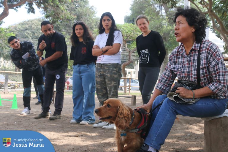 ¡Convertirte en un dueño responsable nunca ha sido tan fácil y divertido! 🐾🎓🐕