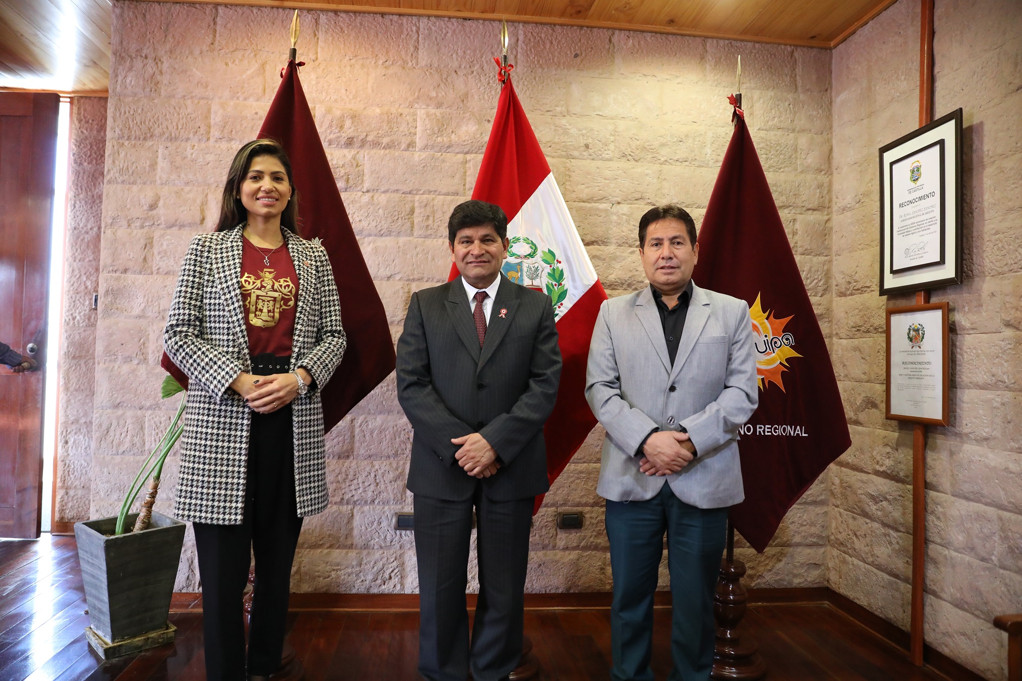 IPD AREQUIPA