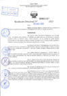 Vista preliminar de documento R.D 01207-2023