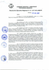 Vista preliminar de documento Resolución Ejecutiva RegionalscMrl