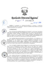 Vista preliminar de documento RDR-4718-2019-DRELM6OQJT