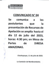 Vista preliminar de documento Comunicado N° 004