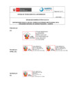 Vista preliminar de documento DIR-008-2023-SANIPES-OTI-PS-01.03.01-01