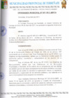 Vista preliminar de documento Ordenanza Municipal 2011_07A9Zzv