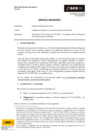 Vista preliminar de documento Opinión 068-2023-DTN - GOB.REG.TACNA - AMPL.PLAZO CONTRATOS EJEC.OBRA