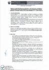 Vista preliminar de documento 01. BASES DEL CONCURSO 