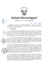 Vista preliminar de documento RDR-4750-2019-DRELMY8abU
