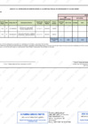 Vista preliminar de documento Modificación del Cuadro Multianual de Necesidades N° 100-2023-RENIEC