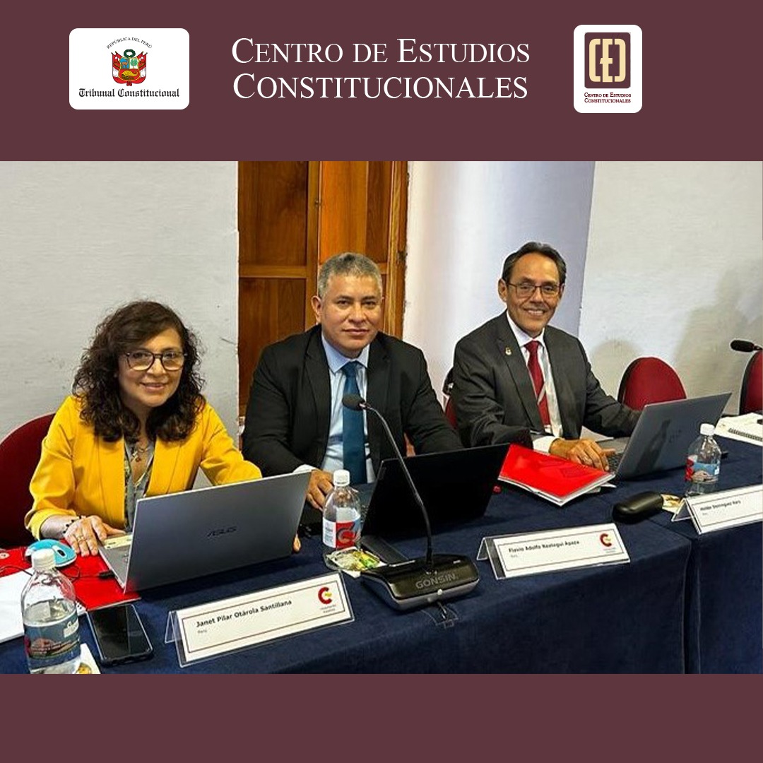 Una delegación del Tribunal Constitucional (TC), liderada por el magistrado Helder Domínguez Haro, director general del Centro de Estudios Constitucionales (CEC), participa en el seminario Medidas contra retraso en tramitación procesos constitucionales, que se desarrolla en la ciudad, La Antigua Guatemala, desde el pasado 10 de julio.