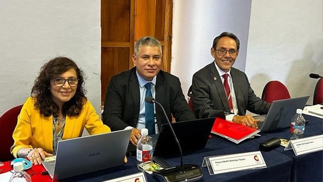 Una delegación del Tribunal Constitucional (TC), liderada por el magistrado Helder Domínguez Haro, director general del Centro de Estudios Constitucionales (CEC), participa en el seminario Medidas contra retraso en tramitación procesos constitucionales, que se desarrolla en la ciudad, La Antigua Guatemala, desde el pasado 10 de julio.