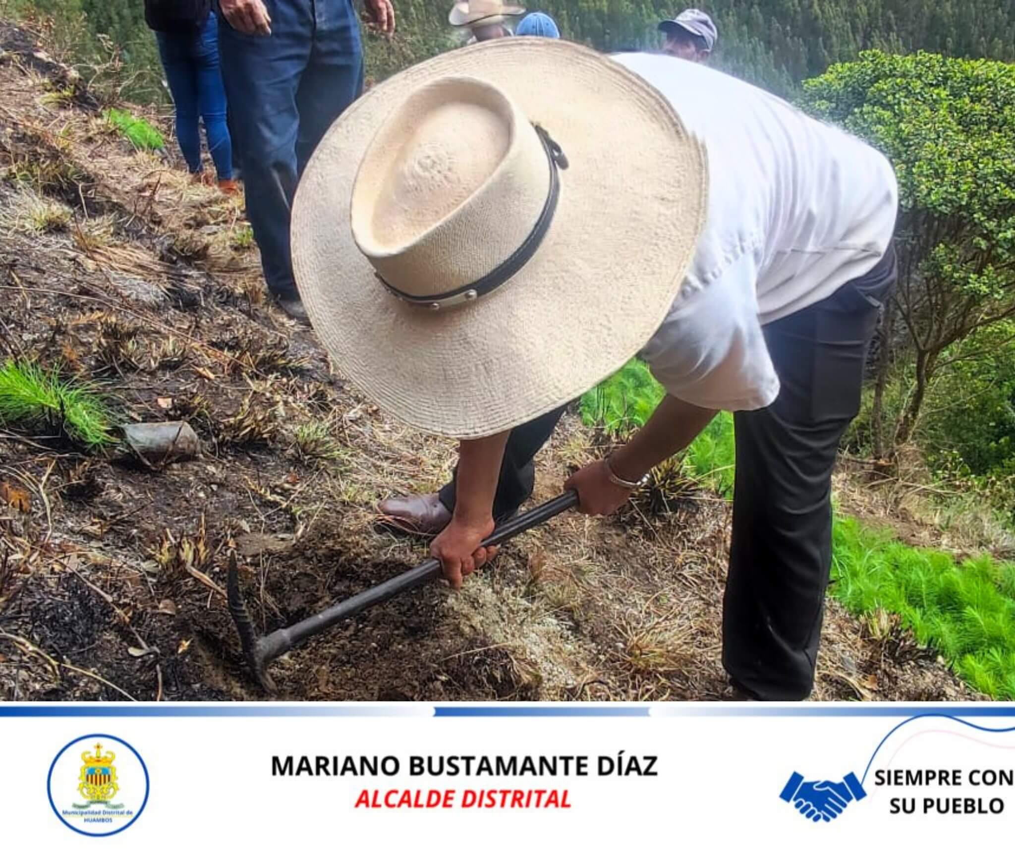 ENTREGA DE PLANTONES DE PINO EN CP CHALLUARACRA