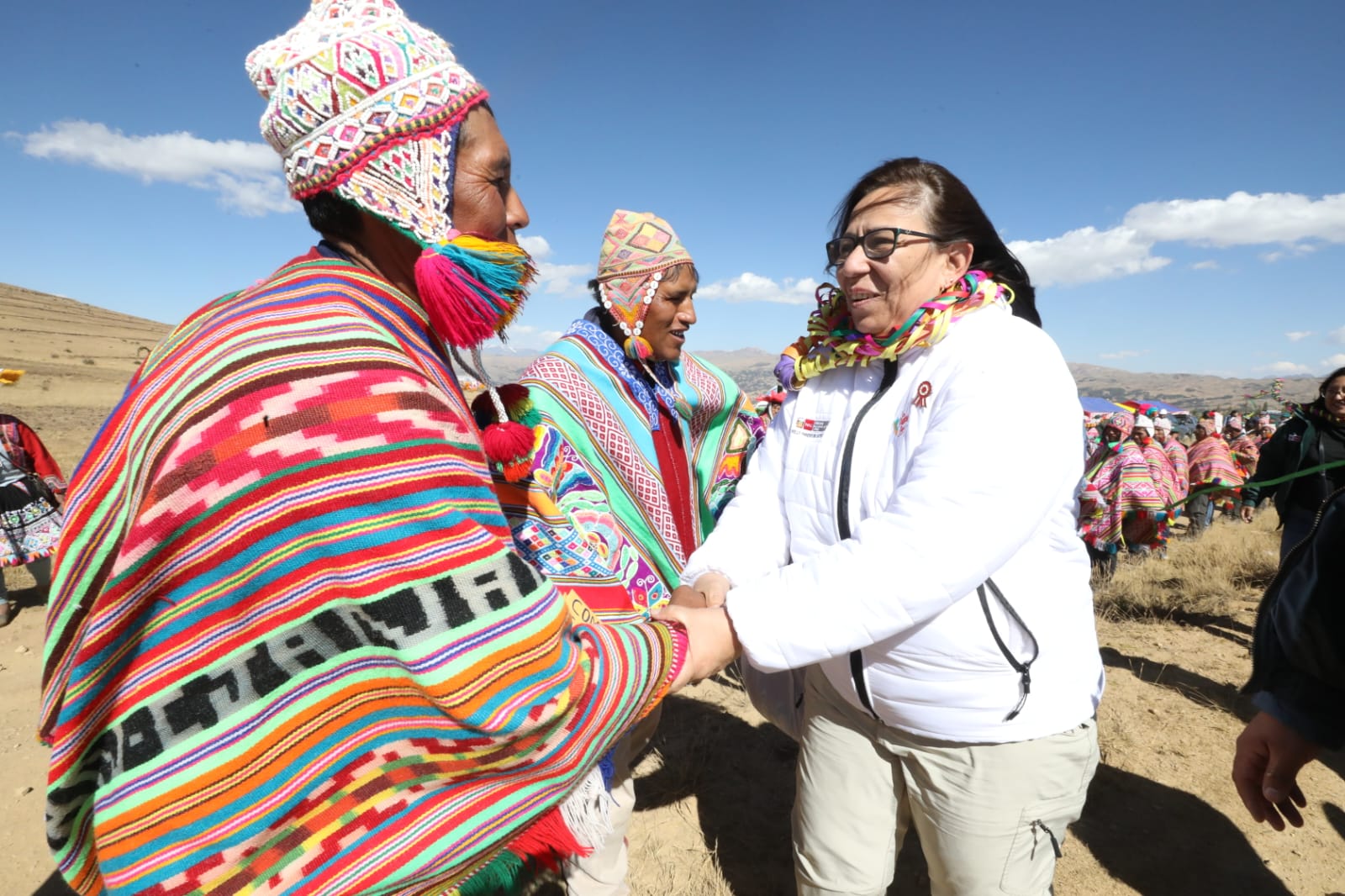 Recuperación de praderas - Cusco